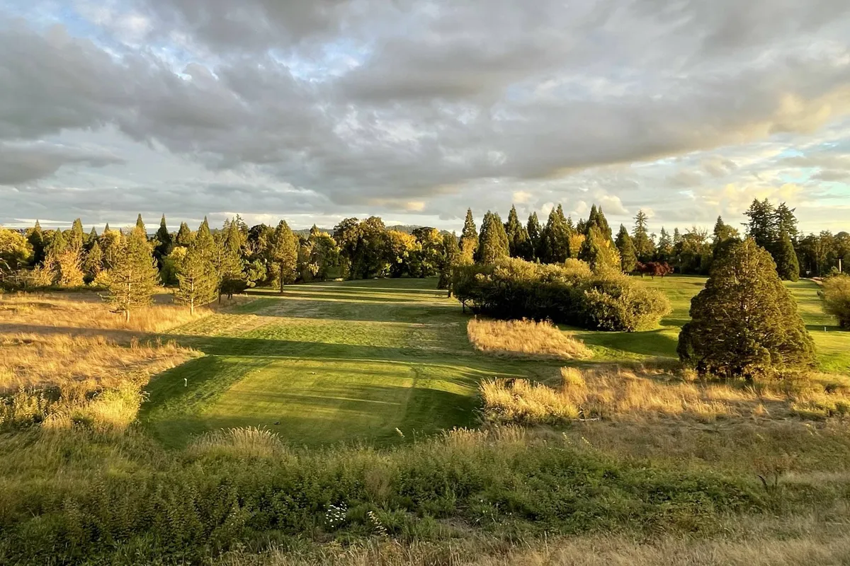 A vibrant, green fairway bordered by tall trees and golden grass, beneath a dramatic sky. The open landscape suggests both activity—golfing and birdwatching—and serenity, highlighting the seasonal color changes and natural beauty.