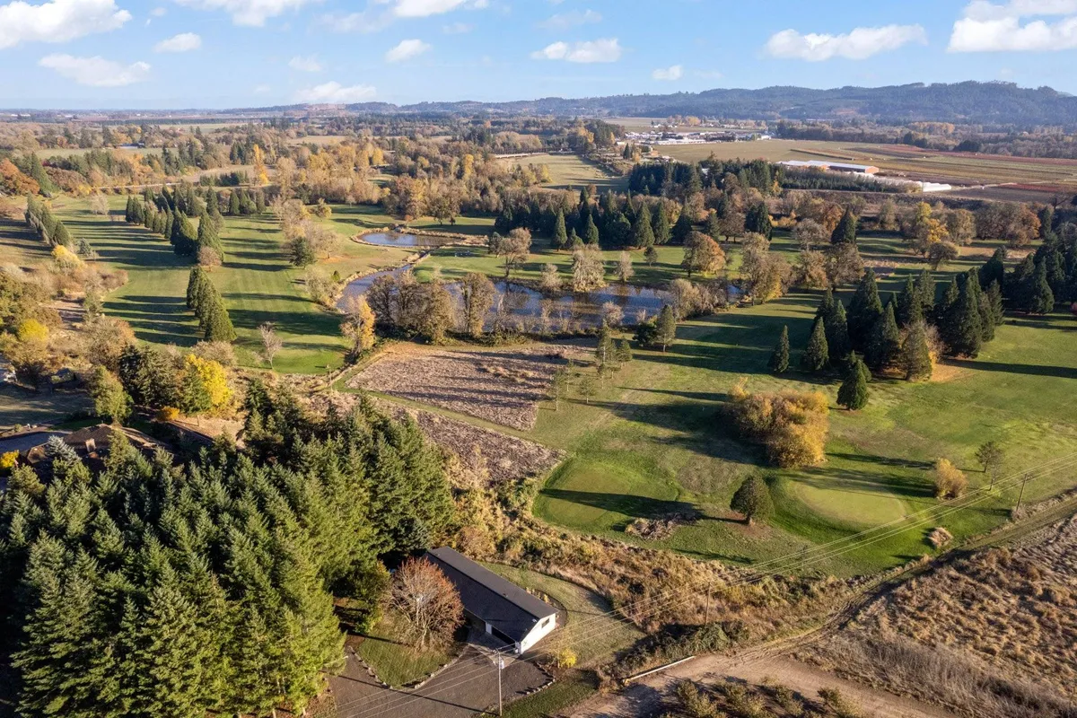 A sweeping landscape featuring expansive green fields, serene ponds, clusters of mature trees, and a small house nestled in the scenery. The tranquil setting is ideal for birdwatching, with plenty of open space and natural habitats for wildlife. The image evokes a sense of peace and immersion in nature, perfectly aligning with the estate’s unique marshland and fields.