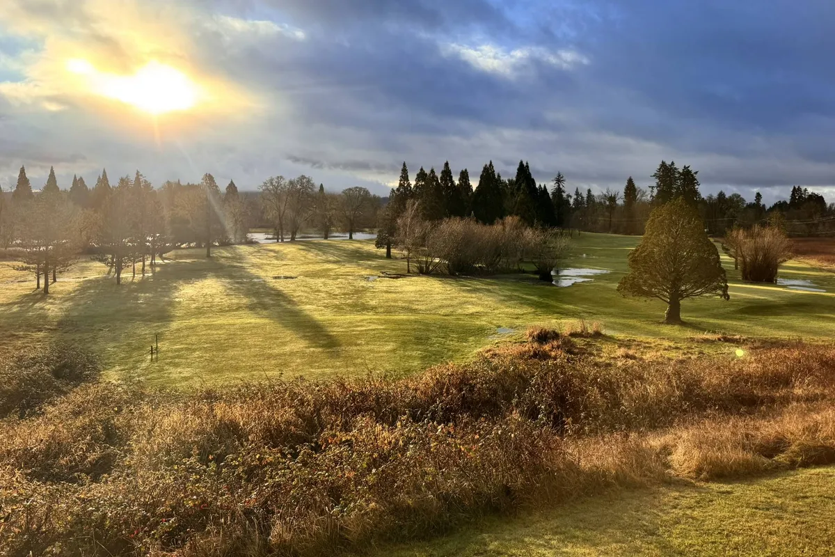 A scenic view featuring a tranquil sunset over open green fields with distant trees, suggesting the peaceful rural context of the estate. The image evokes a sense of calm and natural beauty, ideal for recharging and inspiration.