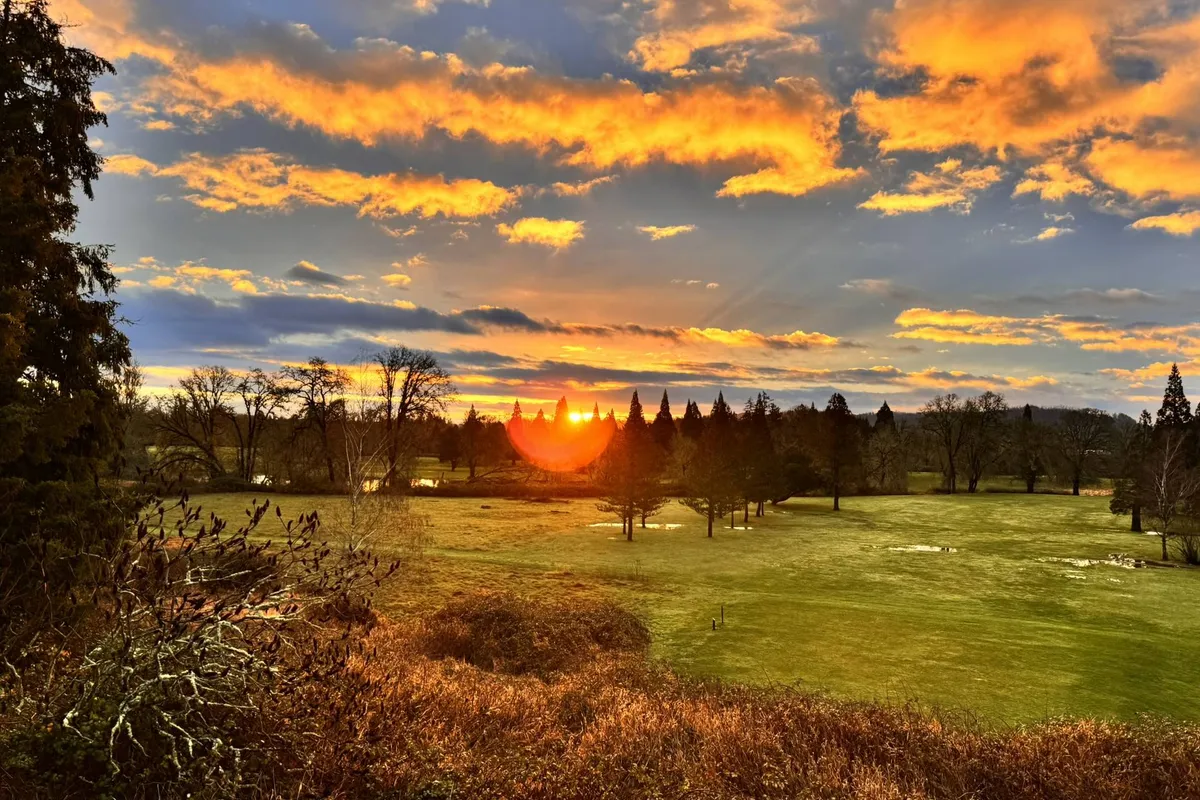 A sweeping view of the golf course at sunset, with gentle clouds, verdant trees framing the scene, and golden light casting tranquil shadows across the open greens. The image evokes a sense of peaceful, natural beauty, offering a quintessential Willamette Valley landscape.