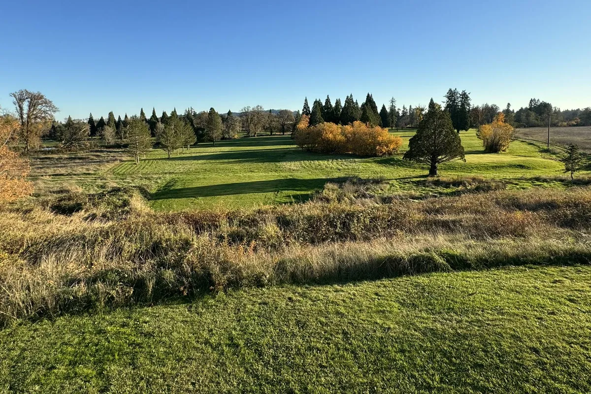 A peaceful view of lush green grass dotted with various types of trees, some displaying vibrant autumn foliage. The natural environment is undisturbed, inviting moments of wildlife spotting, morning walks, or picnics surrounded by the estate’s abundant flora.