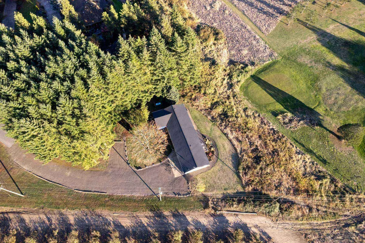 A wide view of the house set amidst mature trees and lush landscaping, with a winding driveway leading up to the entrance. The scene highlights the tranquility and natural surroundings of the property, inviting guests to enjoy nature walks and outdoor exploration beginning right from their doorstep.